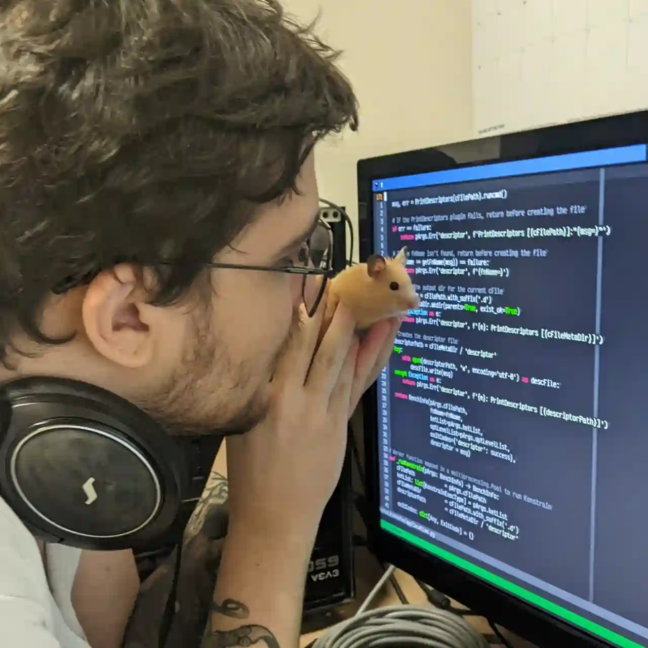 profile pic: hamster looking at vim in a screen, showing a noob (author) how the pros do it